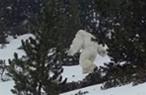 Chasing Shadows: A Scientist's Quest to Prove the Existence of the Yeti